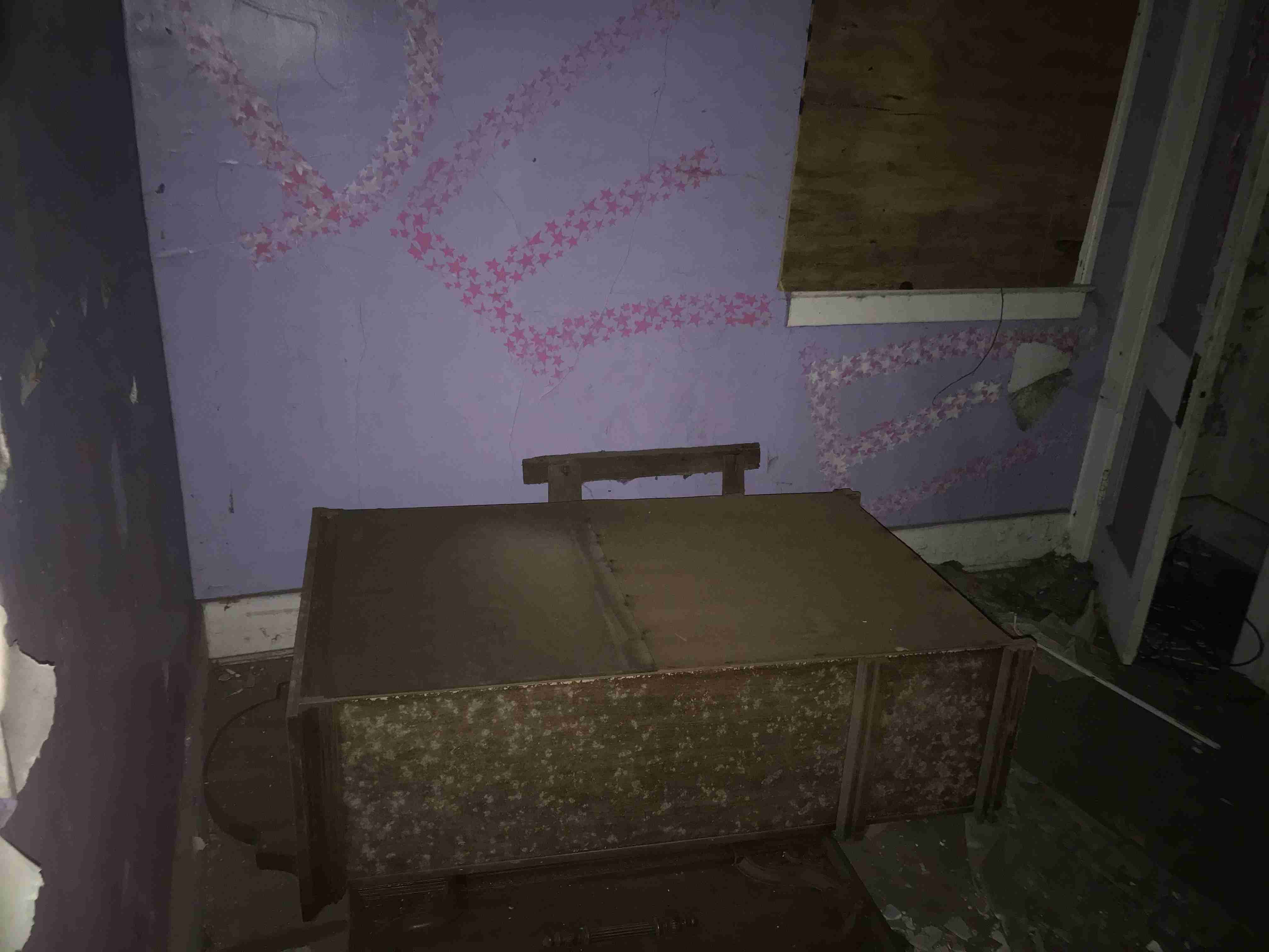 Photo Aug 20, 10 18 55 AM.jpg